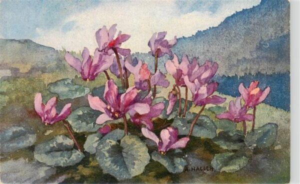 Haller Anna Nr. 306 Blumen