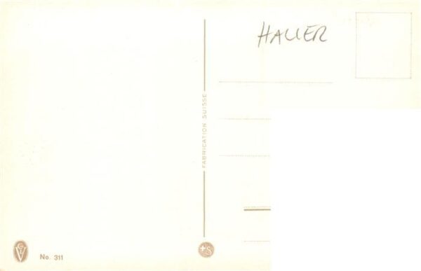Haller Anna Nr. 311 Blumen – Bild 2