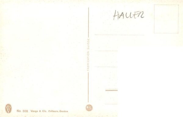 Haller Anna Nr. 308 Bluemen – Bild 2