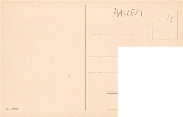 Haller Anna Nr. 224 Bluemen – Bild 2