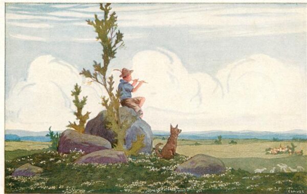 Verlag Primus Nr. Nr.3106 Kind Hund Wiese