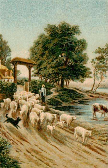 Landwirtschaft Schaefer