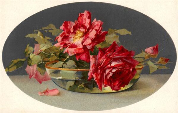 Verlag Meissner und Buch Rote Rosen