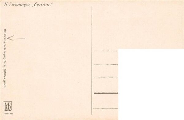Verlag Meissner und Buch H.Stromeyer Gynien – Bild 2