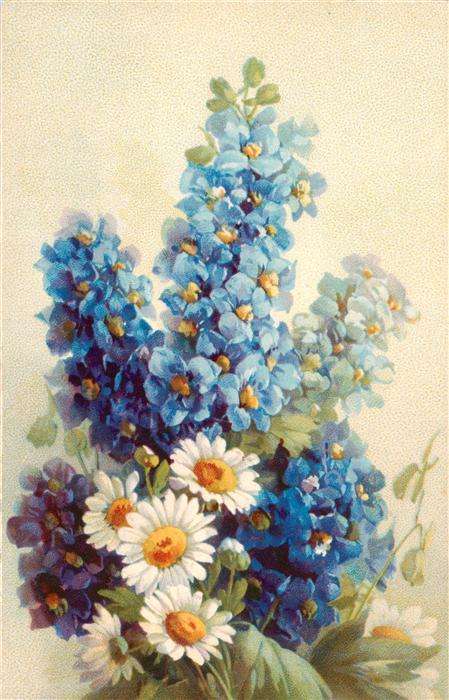 Verlag Meissner und Buch Nr. 3184 Blumen