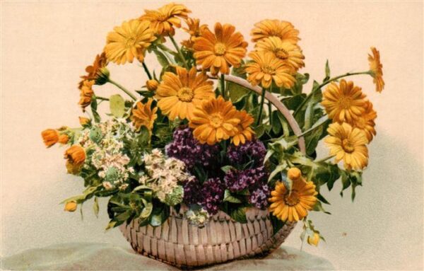 Verlag Photochromie Nr. Nr. 1246 Korb Blumen