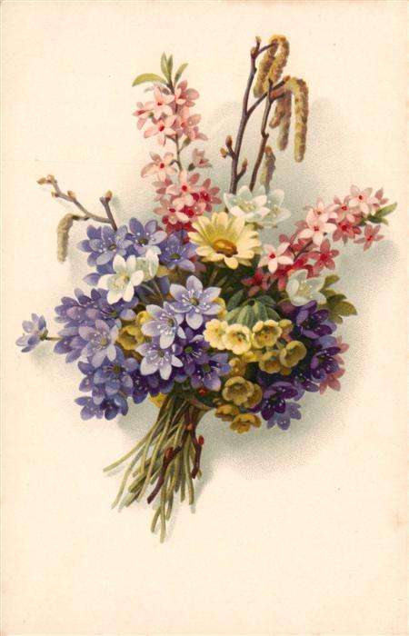 Verlag Meissner und Buch Blumen