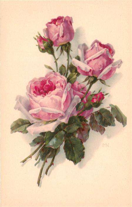 Verlag Meissner und Buch Rosa Rosen