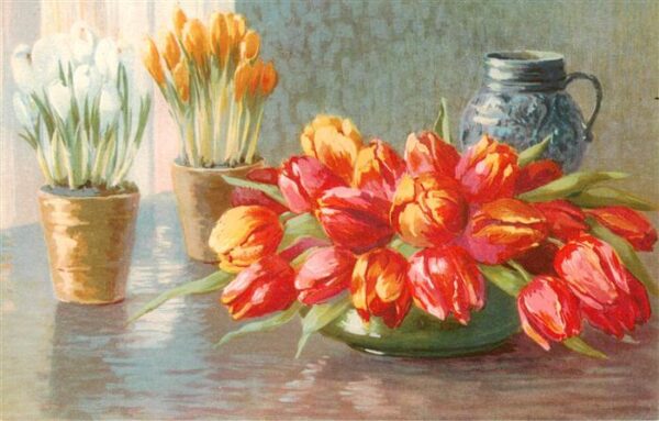 Verlag Meissner und Buch Tulpen