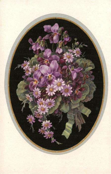 Verlag Meissner und Buch blumen