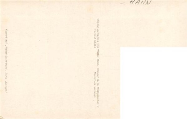 Foto Hahn Nr. Nr.5614 Jagdschloss Moritzburg – Bild 2