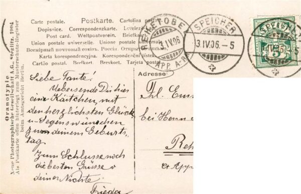 Foto NPG Nr. Nr.    Kind blume – Bild 2