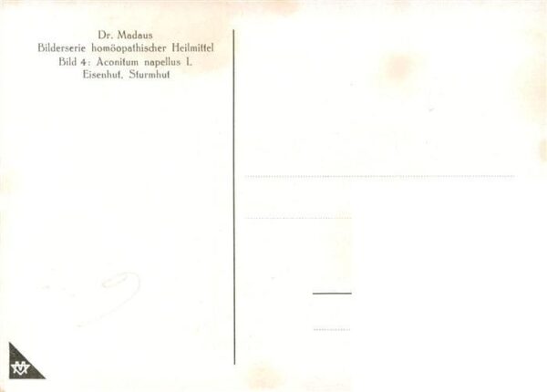 Medizin Dr. Madaus Hooepathischer Heilmittel  Aconitum D4 – Bild 2