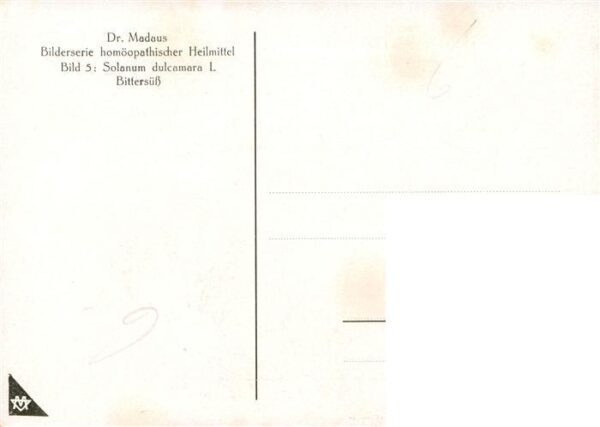 Medizin Dr. Madaus Hooepathischer Heilmittel Dulcamara D2 – Bild 2