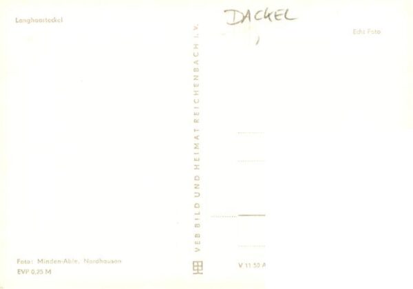 Dackel Dachshund Teckel Hunde dogs Chiens Cani Hund Langhaardackel – Bild 2