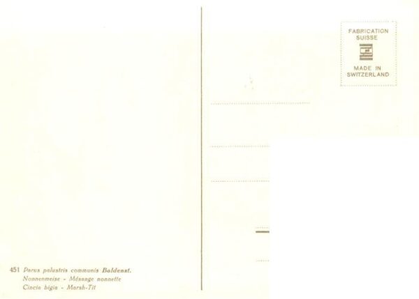 Zeltner C. Nonnenmeise – Bild 2