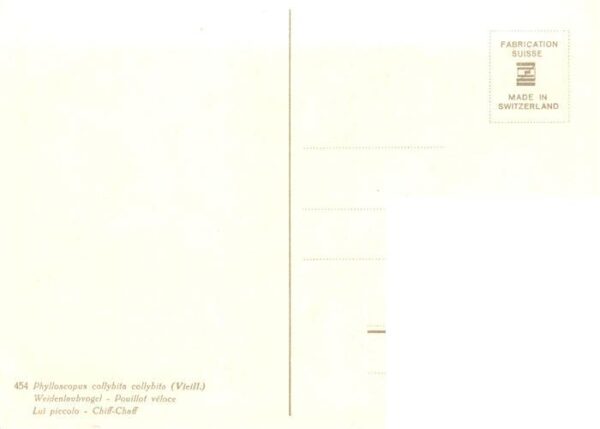 Zeltner C. Nr. 454 Weidenlaubvogel – Bild 2
