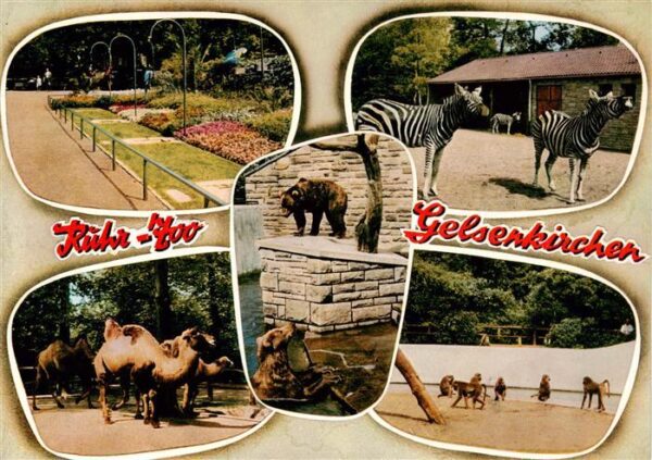Zoo Gardin Zoologique-- Ruhr Zoo Gelsenkirchen