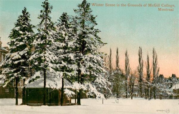 Montreal Quebec Winter Scene i the Grounds of Mc Gill College