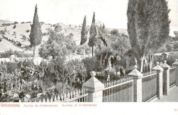 Gethsemane Gethsemani Israel Jardin de Gethsemane