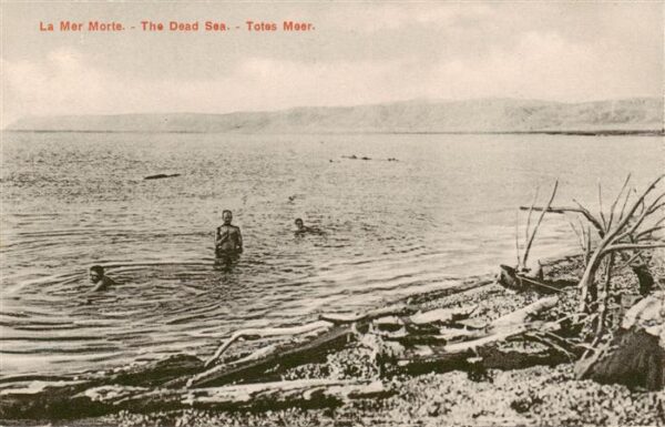 Dead Sea Totes Meer Israel Seepanorama