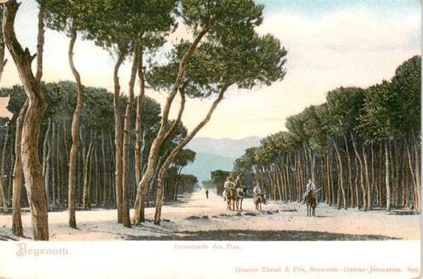 Beyrouth Libanon Promenade des Pins