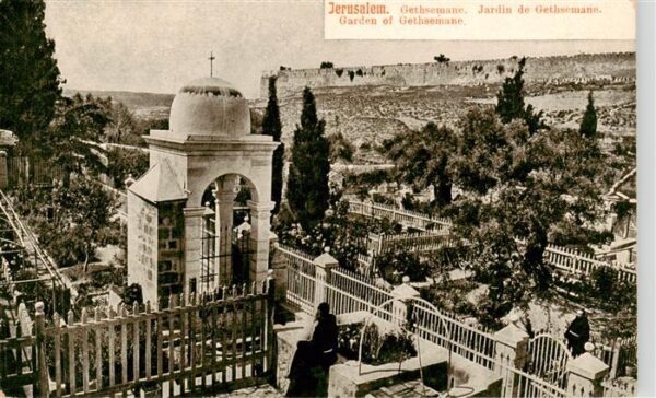 Jerusalem  Yerushalayim Israel Garden of Gethsemane