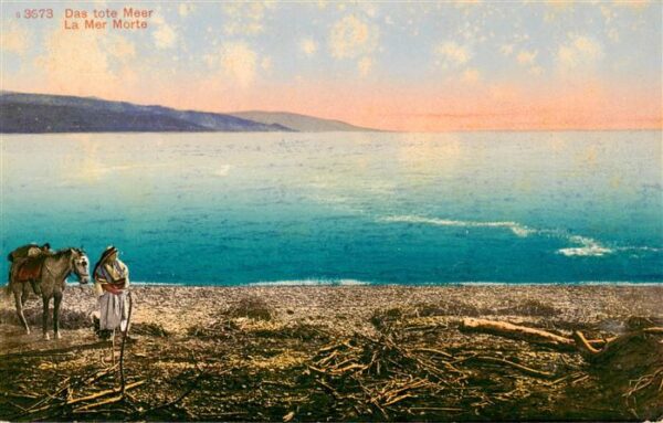 Totes Meer Dead Sea Israel Panorama