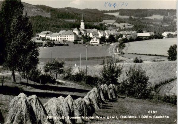 Wenigzell Panorama