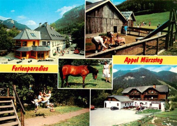 Muerzsteg Jugendgaestehaus Stall Park Pony