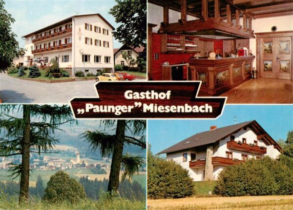 Miesenbach Birkfeld Gasthof Paunger Gastraum Panorama