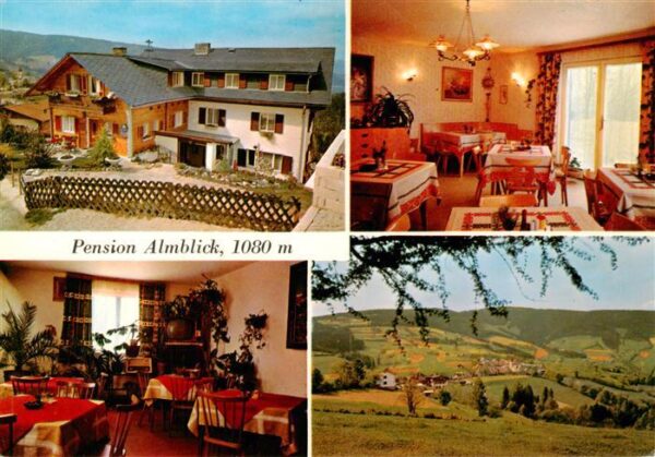 Fischbach Steiermark AT Pension Almblick Gastraeume Panorama