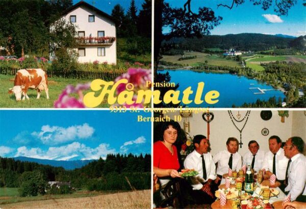 St Georgen Laengsee Kaernten AT Pension Hamatle Gastraum Panorama