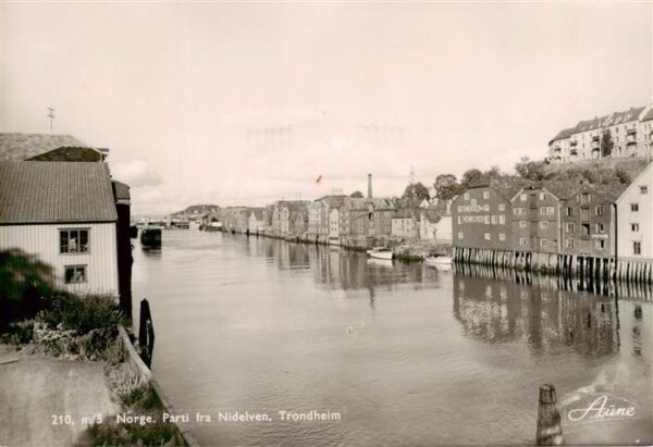 Trondheim Norge Parti fra Nidelven