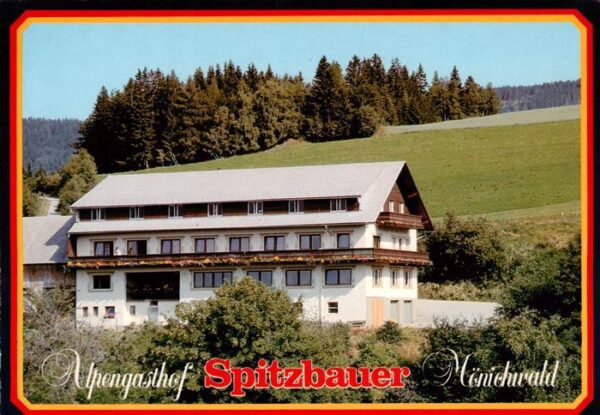 Moenichwald Steiermark AT Alpengasthof Spitzbauer