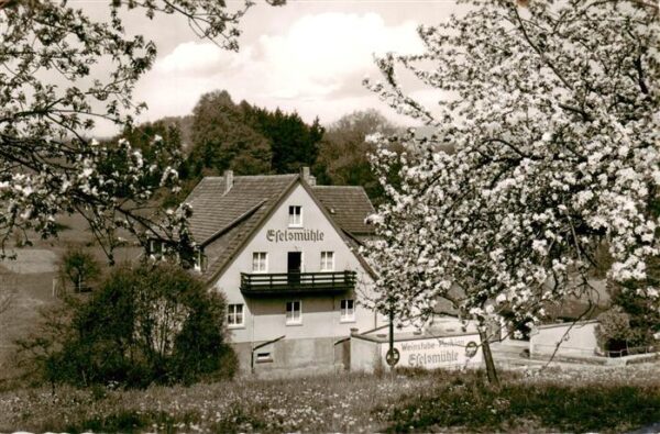 Fuerth Odenwald Eselsmuehle