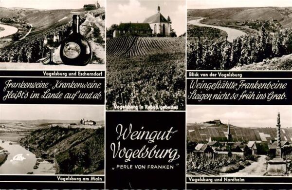 Vogelsburg Volkach Bayern Escherndorf Reben Kapelle Panorama Mainpartie Nordheim