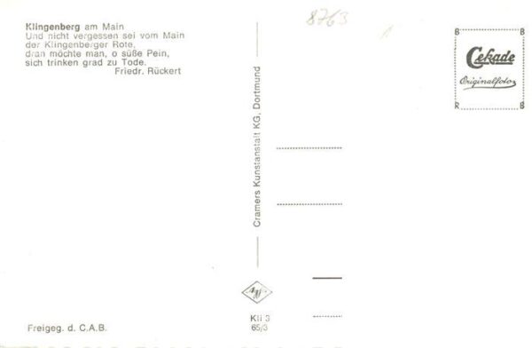 Klingenberg Main Fliegeraufnahme – Bild 2