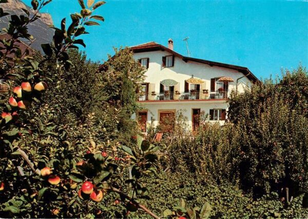 Kaltern Caldaro Suedtirol IT Garni Rosenheim