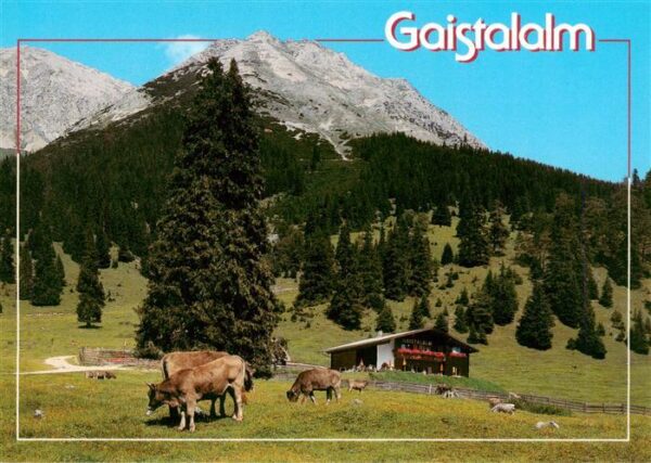Gaistalalm 1420m Leutasch Tirol AT Panorama mit Predigtstuhl und Wetterstein