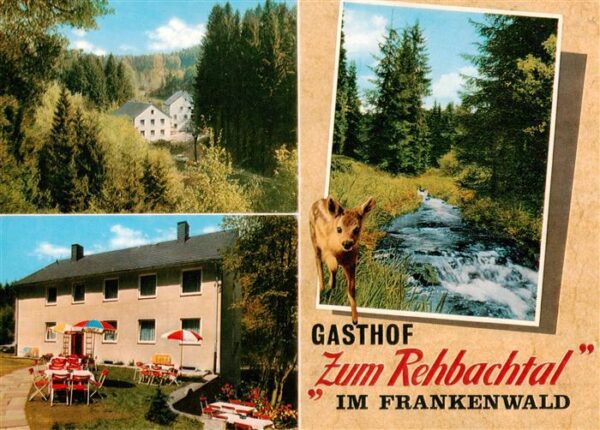 Grafengehaig Gasthof Zum Rehbachtal Panorama Bach mit Reh
