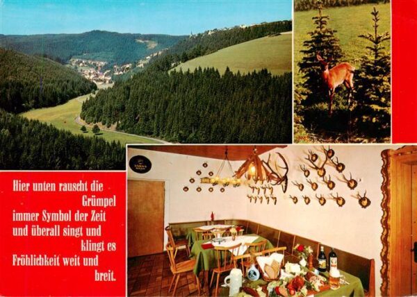Wilhelmsthal Oberfranken Gasthaus zum Gockelwirt im Gruempeltal Panorama Gastrau