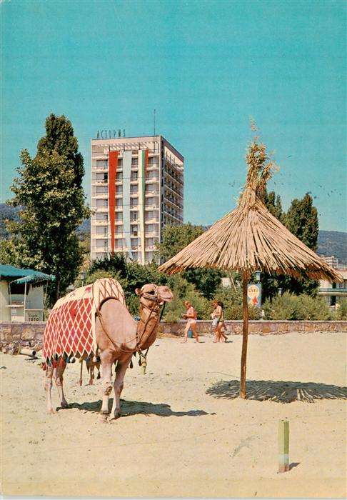 Slatni Pjasazi BG Hotel Astorija Kamel