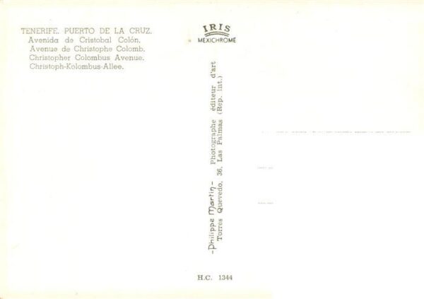 Puerto-de-la-Cruz Tenerife ES Avenida de Cristobal Colon – Bild 2