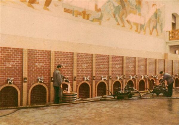 Santa Vittoria d Alba Piemonte IT Stabilimento Cinzano Particolare sala vinifica