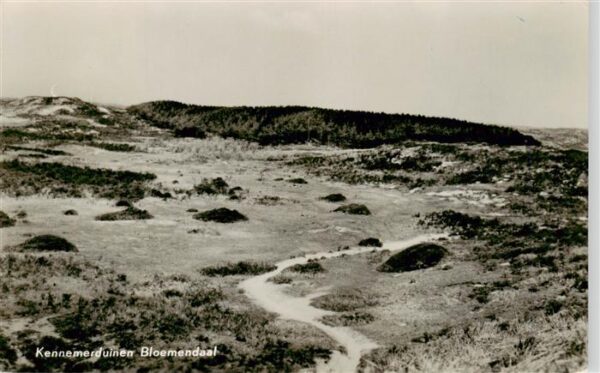 Bloemendaal aan Zee NL Kennemerduinen