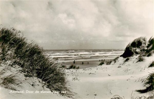 Ameland NL Door de duinen maar zee