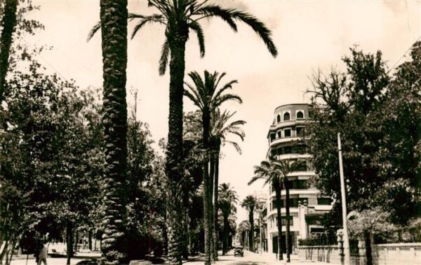 Valencia  Valenciana ES Alameda Paseo de las Palmeras