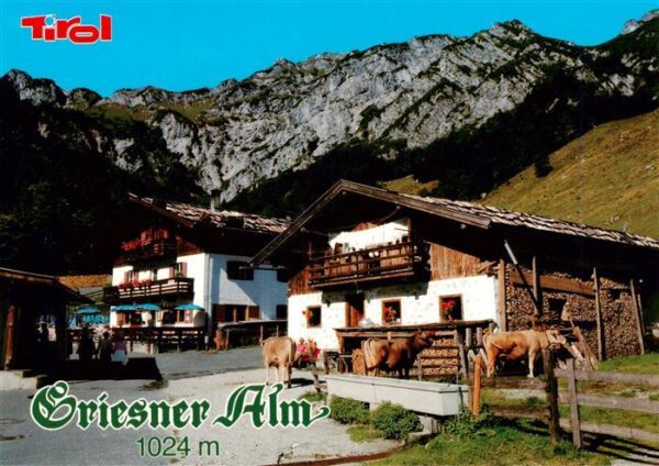 Griesneralm 1024m Kirchdorf Tirol AT Panorama