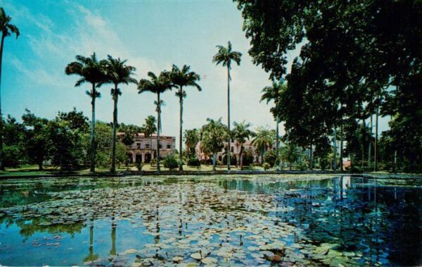 St John Barbados Lily Pool at Codrington College